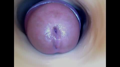 Paula 18 Aninhos online show from 1, 4, 2026