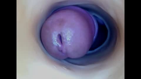 Paula 18 Aninhos online show from 31, 5, 2026