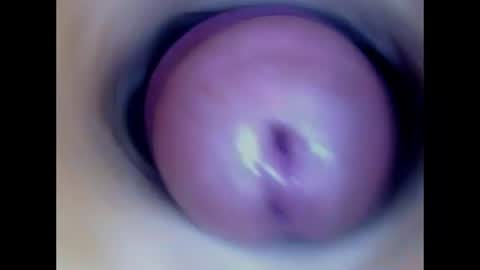 Paula 18 Aninhos online show from 13, 7, 2026