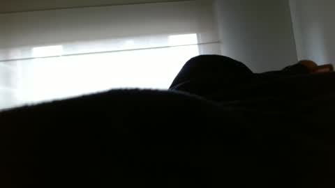 Snapshot of pauliinawithyou chatting on 10, 2, 2025 paulina online show from 10, 2, 2025