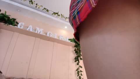 PAU  online show from 18, 11, 2025