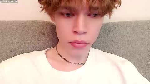 pawclaw online show from 20, 12, 2025