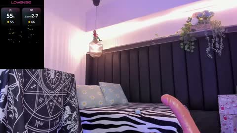 Dani online show from 17, 12, 2024