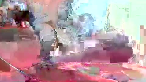 Coco channel  online show from 10, 1, 2025