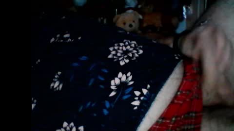 Papabear online show from 6, 1, 2025