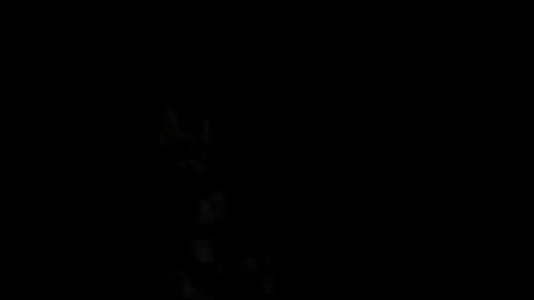 Alex online show from 18, 2, 2025