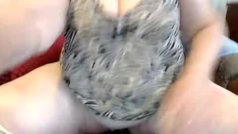 Snapshot of peggysoft chatting on 12, 6, 2026 PeggySoft online show from 12, 6, 2026