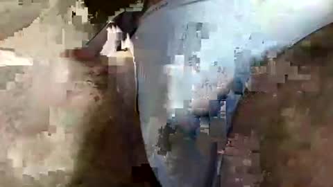 perfectFTM online show from 3, 4, 2026