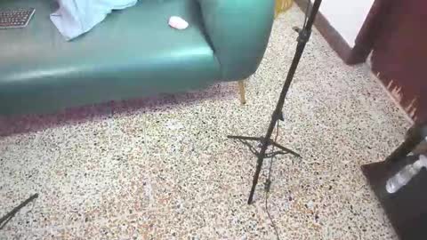 Peter online show from 21, 2, 2026