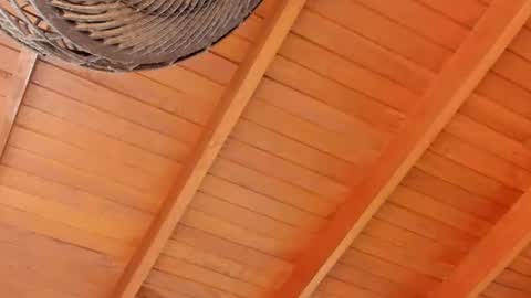 peter jackson1 online show from 4, 12, 2024