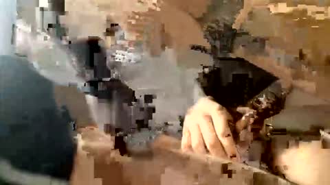 peterrace333 online show from 26, 2, 2026