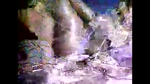 peterson1978 online show from 8, 11, 2025