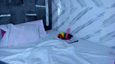 Snapshot of petite_amor chatting on 9, 12, 2024 petite_amor online show from 9, 12, 2024