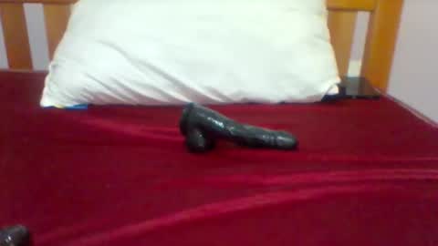 ariana online show from 19, 3, 2026