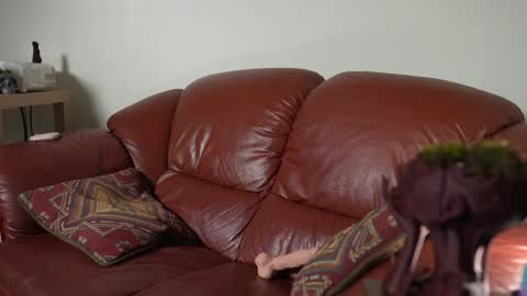 caracal online show from 11, 3, 2025