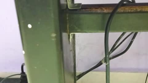 danna online show from 23, 12, 2024