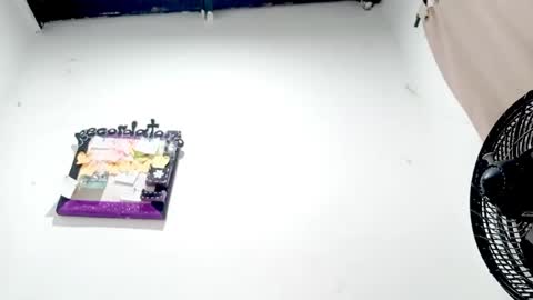 danna online show from 7, 11, 2025