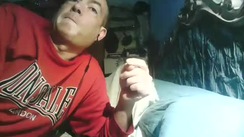 Snapshot of pets76 chatting on 1, 3, 2026 pets76 online show from 1, 3, 2026