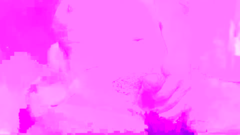 phantom online show from 18, 12, 2024