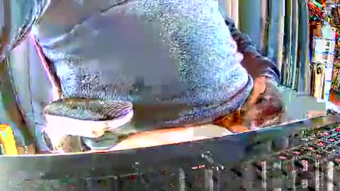 Snapshot of philache04 chatting on 15, 12, 2025 Gabu online show from 15, 12, 2025