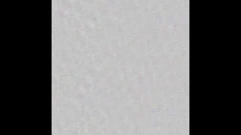 pierce_alex online show from 12, 1, 2026