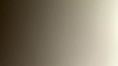 Bee online show from 3, 12, 2024