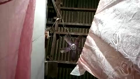 Snapshot of pinaybobs chatting on 2, 3, 2026 pinaybobs online show from 2, 3, 2026