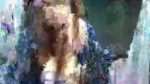Carol online show from 11, 5, 2026