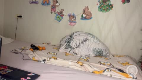 Pikachu pika online show from 19, 2, 2026