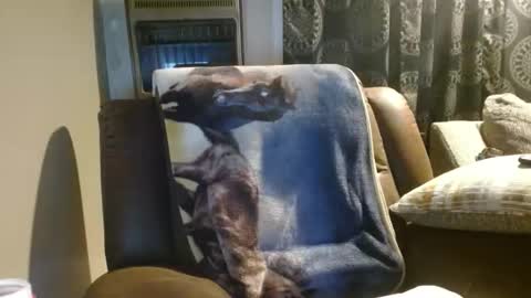 Snapshot of pirate334 chatting on 18, 1, 2026 pirate334 online show from 18, 1, 2026