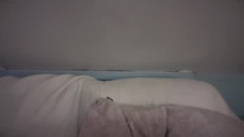 pirdybirdyxo online show from 26, 2, 2025