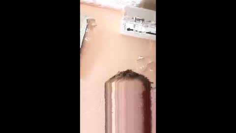 pitoloko73 online show from 7, 4, 2026