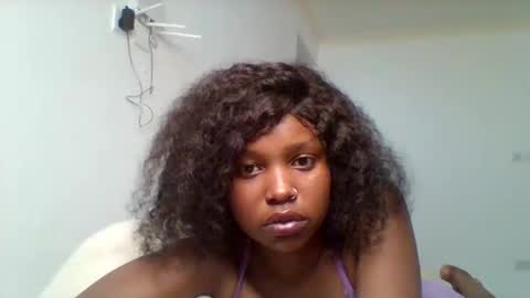 Majesty online show from 8, 11, 2025