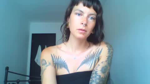Snapshot of pixiecatfairy chatting on 17, 9, 2025 pixiecatfairy online show from 17, 9, 2025