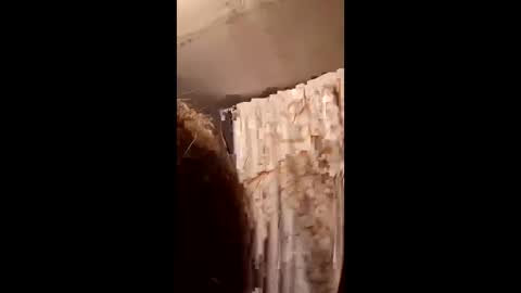 pizzedwife online show from 4, 2, 2026