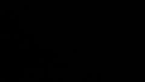 Snapshot of playerboybunny chatting on 1, 12, 2025 playerboybunny online show from 1, 12, 2025