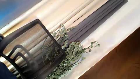 kate online show from 21, 3, 2026