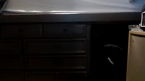 Snapshot of pleasantdinosaurus7537 chatting on 17, 11, 2025 pleasantdinosaurus7537 online show from 17, 11, 2025