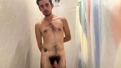 Pluto The Pup online show from 18, 11, 2025