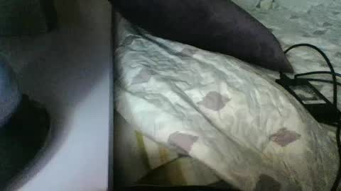 pocoyotop online show from 7, 3, 2025