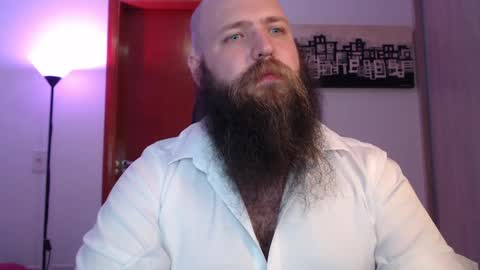 Bear online show from 12, 3, 2025