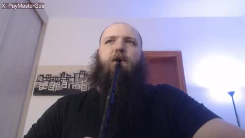 Bear online show from 9, 11, 2025