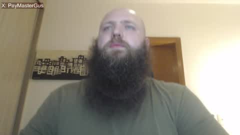 Bear online show from 21, 4, 2026