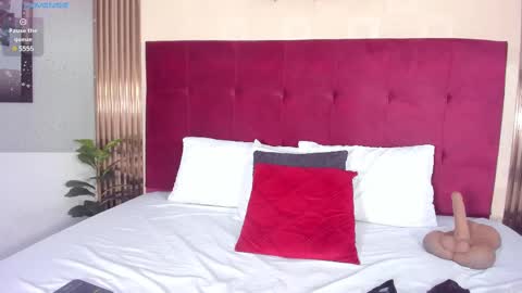 Snapshot of poletlambert chatting on 3, 12, 2024 Polet online show from 3, 12, 2024