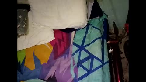 pollachico online show from 2, 12, 2025