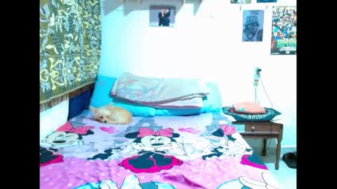 Snapshot of pollon8_kbezon chatting on 5, 1, 2025 Gian online show from 5, 1, 2025