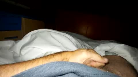 Pollonreus online show from 21, 10, 2025