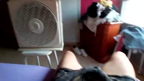 Snapshot of pollonyhuevosgordos chatting on 17, 7, 2026 pollonyhuevosgordos online show from 17, 7, 2026