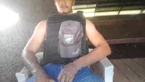 pollyster online show from 26, 10, 2025