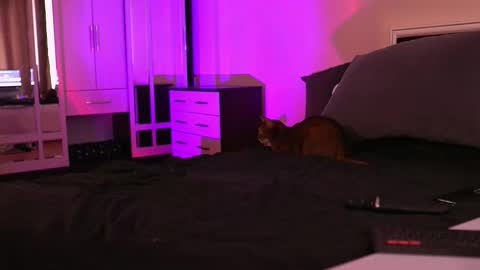 Snapshot of polusladkoye chatting on 17, 9, 2025 Megan.online  online show from 17, 9, 2025